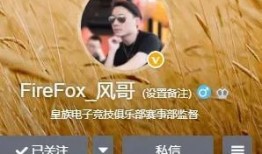 风哥爆料rng往事视频,rng往事视频中的那些不为人知的瞬间